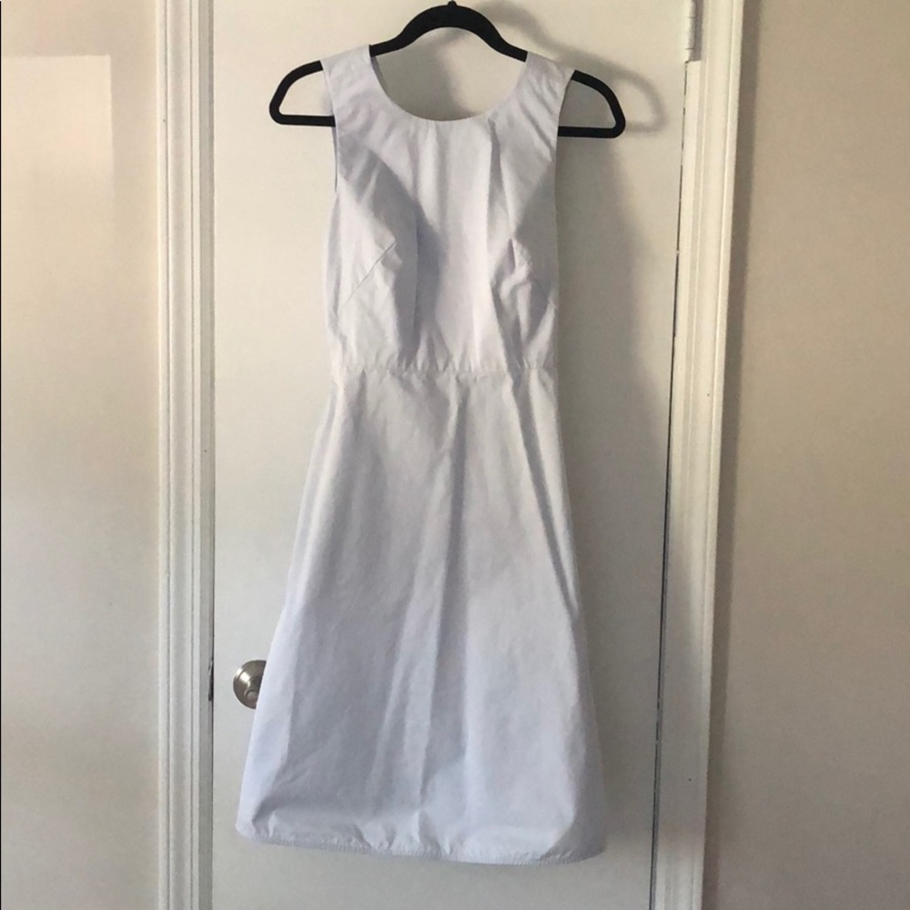 Everlane Sleeveless A-Line Dress